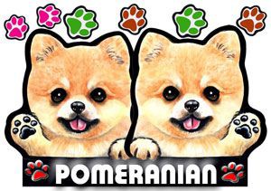 犬 ステッカー/ポメラニアン30/犬/シール/ネーム入れ不可/愛犬/雑貨