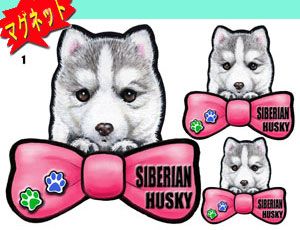 リボン犬ステッカー シベリアンハスキー1 犬 リボンマグネット マグネット 犬 雑貨 グッズ ネの通販はau Pay マーケット ステッカーグッズの わんdayペット