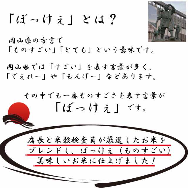 米 300g お米 こめ ポイント消化 お試し 300円ぽっきり 送料無料 ブレンド ぼっけぇ米300g(2合) メール便の通販はau PAY  マーケット 岡山のお米と雑穀の専門店 スカイファーム au PAY マーケット－通販サイト