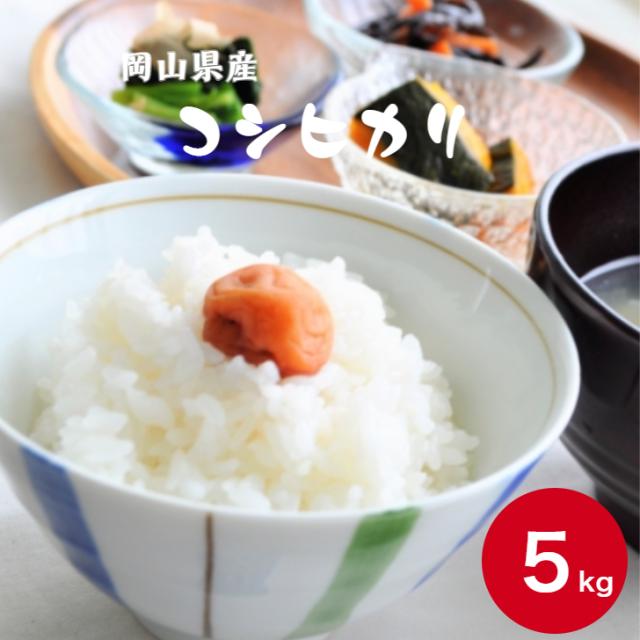令和6年産 岡山県産 コシヒカリ 5kg (5kg×1袋) 米 お米 送料無料 ※北海道・沖縄宛は別途送料必要の通販は