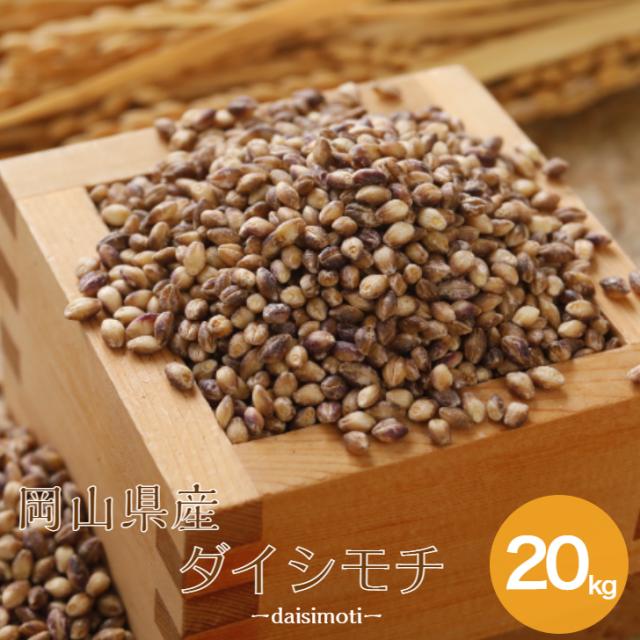 令和7年産 岡山県産 ダイシモチ 20kg (5kg×4袋) もち麦 食品 美容・ダイエット 雑穀米 送料無料 ※北海道・沖縄宛は別途送料必要