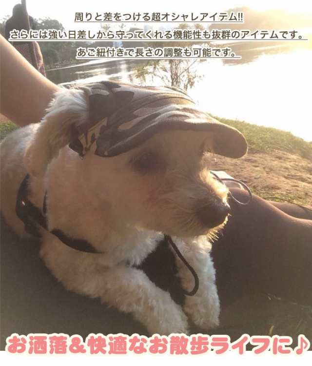 犬 猫 帽子 キャップ ペット 服 犬の帽子 h0159の通販はau PAY ...