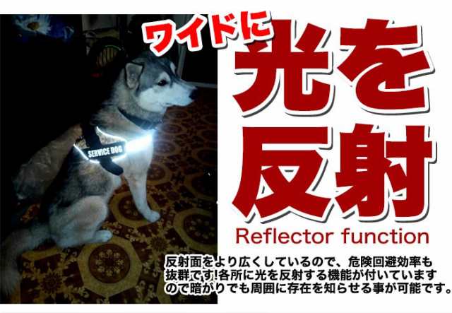 100％安い 犬 ハーネス ベスト ペット ロック機能 付 服 胴輪 キャット ドッグ メッシュ ドッグウェア 小型犬 大型犬 中型犬  discoversvg.com