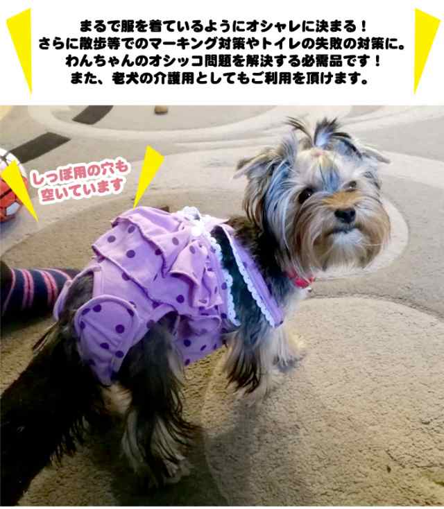 犬 マナーウェア マナーベルト フリル 服 マナーバンド オムツカバー ドッグウェア 犬の服 しつけ マーキング防止 トイレ 介護 H0243の通販はau Pay マーケット セブンブリッジ