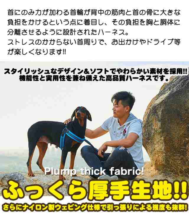 2021年製 ソフトハーネス 小型犬 猫 ハーネス 犬用 中型犬 キャット 胴輪 ペット 犬用品 ベスト メッシュ素材 大型犬 リード 犬 ペット用品  リード付 首輪、ハーネス、リード