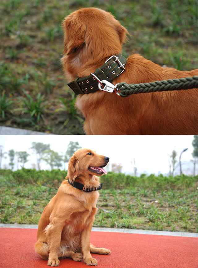 犬 首輪 首や喉に優しい ペット ドッグ ペットグッズ 太い 極太 幅広 小型犬 中型犬 大型犬 H0260の通販はau Pay マーケット セブンブリッジ