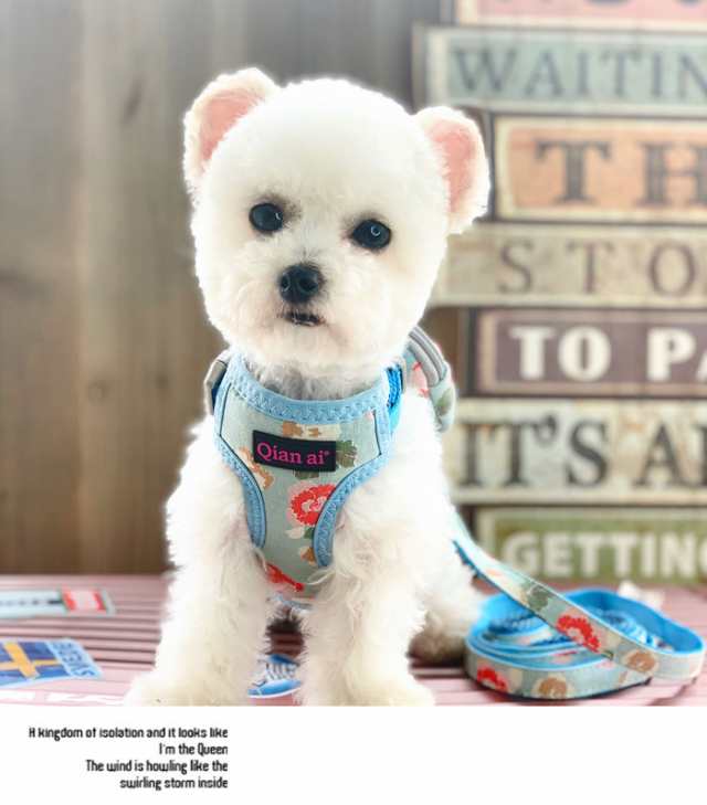 犬 口輪 マズル 長頭種 犬の口輪 無駄吠え 噛みつき 拾い食い ...