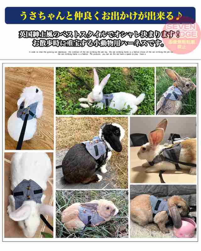 Lサイズ ペット 小動物 うさぎ モルモット フェレット ハーネス リード 胴輪 小動物用品 Mサイズ うさぎ ペット 小動物 モルモット フェレット ハーネス リード 胴輪