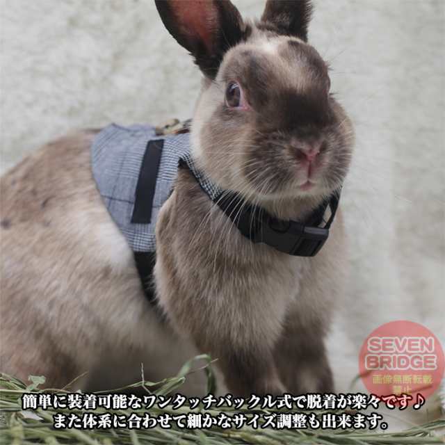 うさぎ ウサギ ベスト ハーネス リード 付 小動物 モルモット