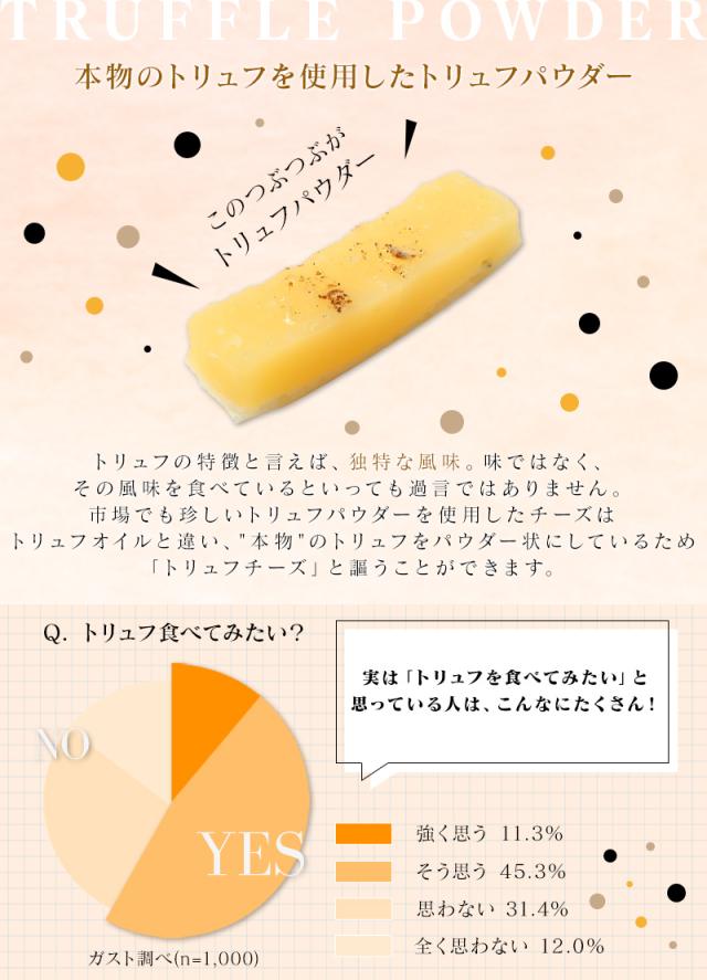 珍味トリュフ チーズ 42g×30袋 送料無料 大容量 業務用 おつまみ