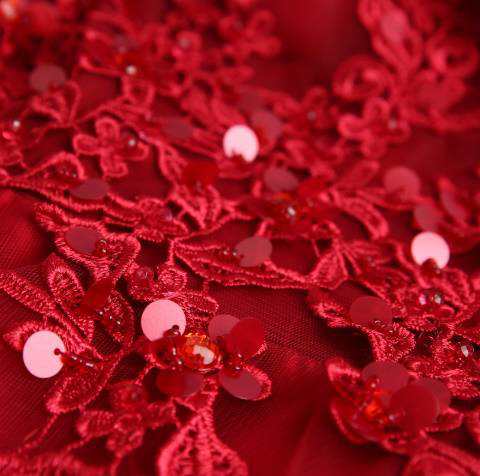ロングドレス 赤 Aライン オフショルダー 花柄 刺繍 チュール ロングドレス 赤 Aライン オフショルダー 花柄 刺繍 チュール