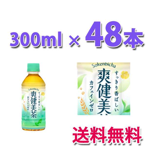 コカ コーラ 300ml×48本 2ケース 【国産】