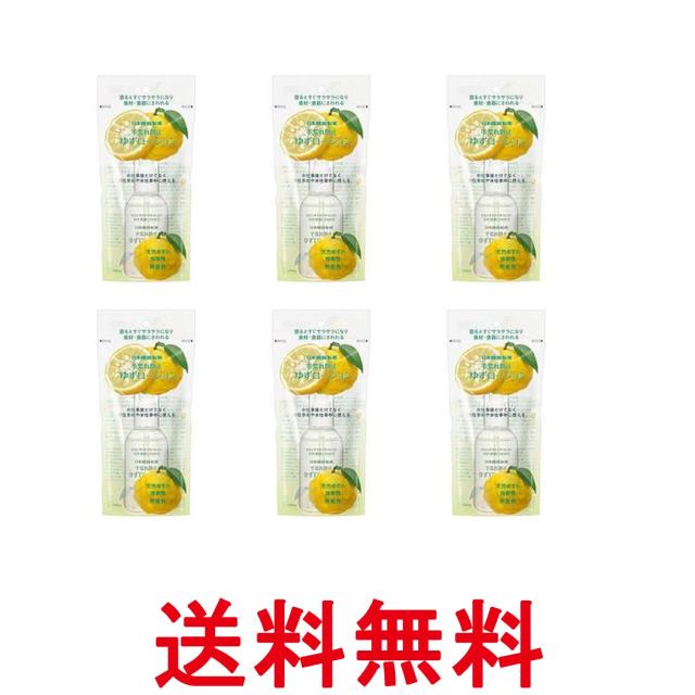 6個セット 日本臓器製薬ゆずローション 100ml 送料無料