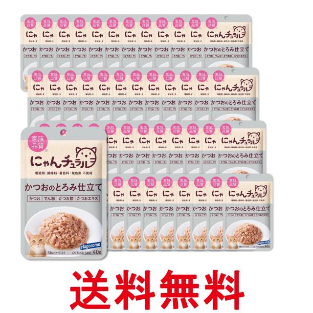 48個セット はごろも にゃんチュラル パウチ かつおのとろみ仕立て 40g 猫用 送料無料