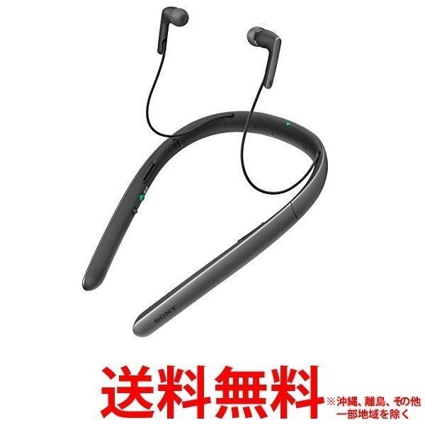 SONY 首かけ集音器 SMR-10 B