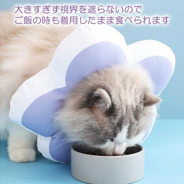 エリザベスカラー クッション 猫 ソフト 犬 傷舐め防止 引っかき防止 枕 ペット用品 M 紫色 (管理S) 送料無料の通販はau PAY マーケット  ☆お客様の一番でありたい☆ベストワン au PAY マーケット－通販サイト