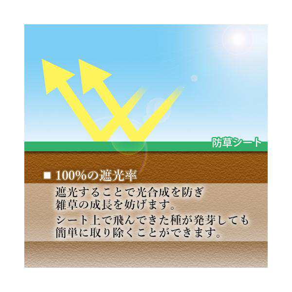 防草シート 高密度 300G 1m×30m 耐年数 約10年 頑丈 (管理S) 送料無料