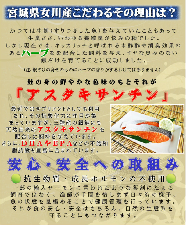 プロも絶賛！安心と安全の純国産サーモン 選べる皮付き・皮なし 宮城県産お刺身用金華銀ざけ たっぷり半身3枚 女川産 しゃけ ギンザケ 銀鮭 サケ 金華銀 金華銀鮭 送料無料 hsk_6