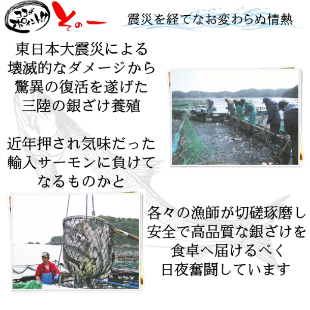 プロも絶賛！安心と安全の純国産サーモン 選べる皮付き・皮なし 宮城県産お刺身用金華銀ざけ たっぷり半身3枚 女川産 しゃけ ギンザケ 銀鮭 サケ 金華銀 金華銀鮭 送料無料 hsk_7