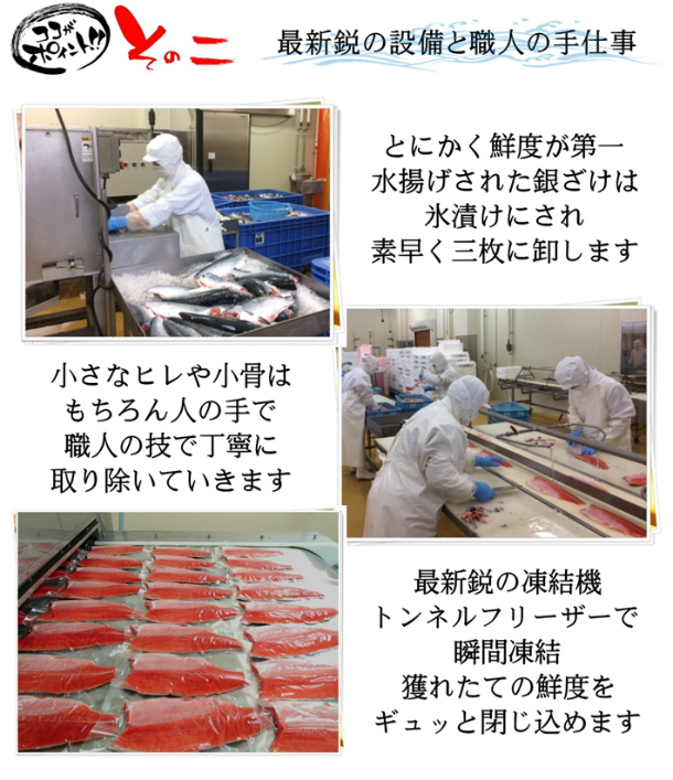 プロも絶賛！安心と安全の純国産サーモン 選べる皮付き・皮なし 宮城県産お刺身用金華銀ざけ たっぷり半身3枚 女川産 しゃけ ギンザケ 銀鮭 サケ 金華銀 金華銀鮭 送料無料 hsk_8