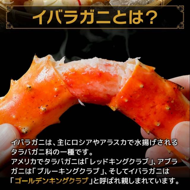 世界最大クラス 9L サイズ イバラガニ 2kg net1.6kg タラバガニの近縁種 ゴールデンキングクラブ 1肩足 一肩 1肩 たらばがに ボイル ロシア産 たらば 蟹 タラバ蟹 蟹 かに カニ 冷凍 ギフト 脚 足 特大 2キロ 凍結前重量1.6kg 送料無料_2