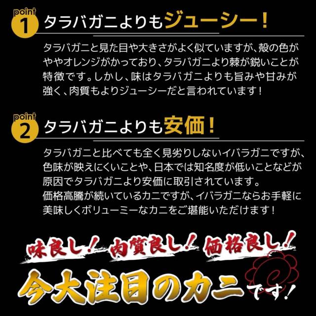世界最大クラス 9L サイズ イバラガニ 2kg net1.6kg タラバガニの近縁種 ゴールデンキングクラブ 1肩足 一肩 1肩 たらばがに ボイル ロシア産 たらば 蟹 タラバ蟹 蟹 かに カニ 冷凍 ギフト 脚 足 特大 2キロ 凍結前重量1.6kg 送料無料_3
