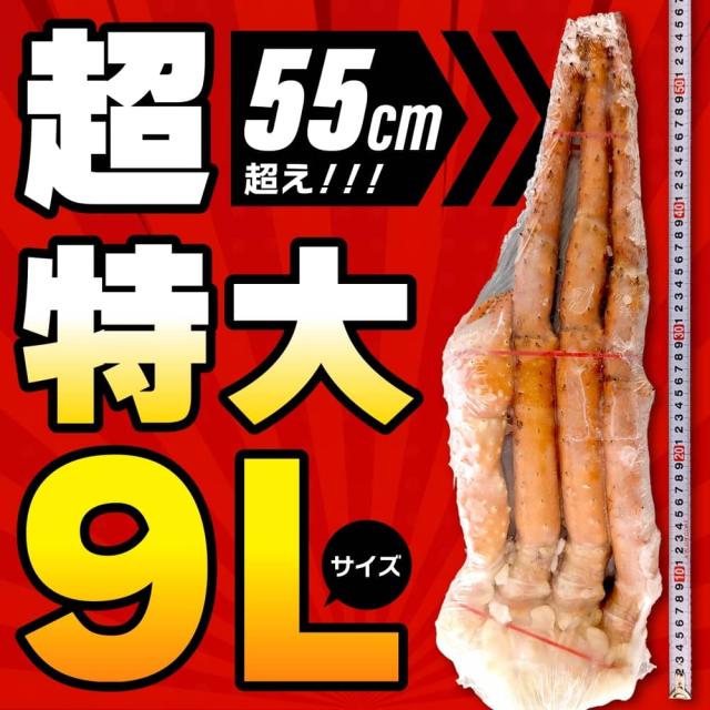 世界最大クラス 9L サイズ イバラガニ 2kg net1.6kg タラバガニの近縁種 ゴールデンキングクラブ 1肩足 一肩 1肩 たらばがに ボイル ロシア産 たらば 蟹 タラバ蟹 蟹 かに カニ 冷凍 ギフト 脚 足 特大 2キロ 凍結前重量1.6kg 送料無料_4