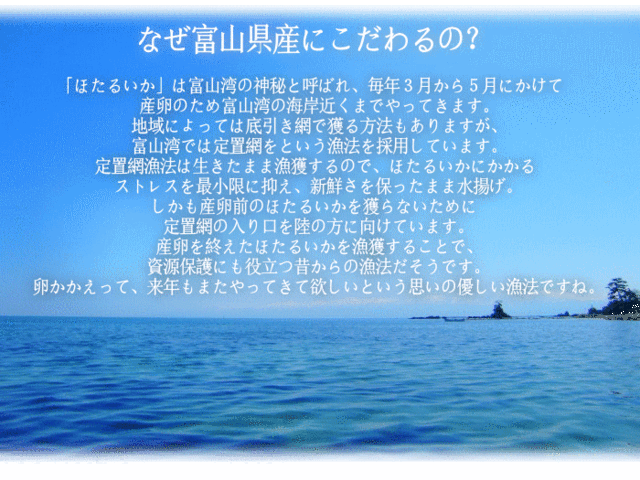 富山県産 ほたるいか醤油漬け 750ｇ 業務用 ほたるいか ホタルイカ 醤油漬けの通販はau Pay マーケット みちのく宮城のうめぇをお届け 十文字屋商店