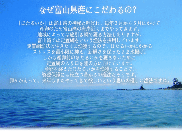 日本海産 ほたるいか素干し 25g入り DM便発送 送料別 スルメ hsk ...