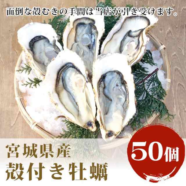 殻付きなのに殻むきいらず 宮城県産 殻付き牡蠣 50個 殻付きかき Sos 殻付きカキ 生牡蠣 生食用 ギフト 送料無料の通販はau Pay マーケット みちのく宮城のうめぇをお届け 十文字屋商店