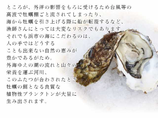 殻付きなのに殻むきいらず 宮城県産 殻付き牡蠣 50個 殻付きかき Sos 殻付きカキ 生牡蠣 生食用 ギフト 送料無料の通販はau Pay マーケット みちのく宮城のうめぇをお届け 十文字屋商店