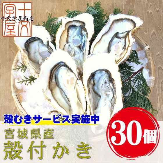 殻付きなのに殻むきいらず 宮城県産 殻付き牡蠣 30個 殻付きかき 殻付きカキ 生牡蠣 生食用 ギフト 送料無料 一部地域を除く の通販はau Pay マーケット みちのく宮城のうめぇをお届け 十文字屋商店