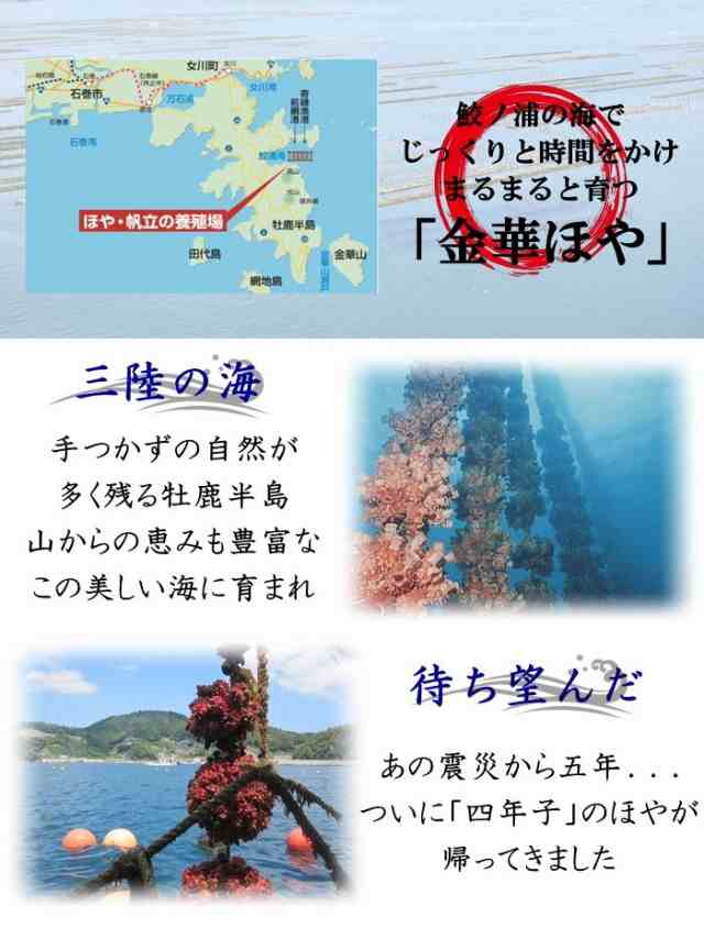 面倒な殻むきいらず 三陸産刺身金華ほや お得な0ｇ ５ヶセット 送料無料 ホヤ むきほや 剥きほや お刺身 冷凍便の通販はau Pay マーケット みちのく宮城のうめぇをお届け 十文字屋商店