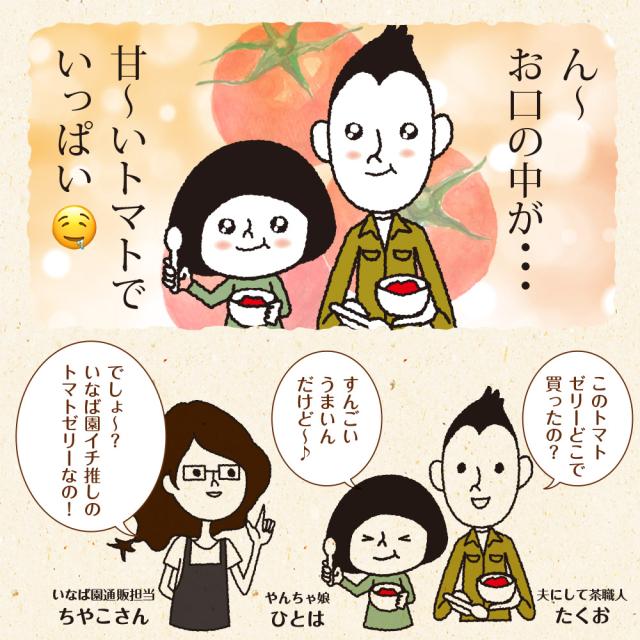 母の日 最短発送受付中 塩トマトゼリー 6個ギフト 4個セット 送料無料 かけてびっくり塩トマトゼリー ゼリー トマト スイーツ 贈り物 お菓子 メッセージカード 内祝い お祝い 贈物 2026 送料無料 ギフト プレゼント 実用的_6