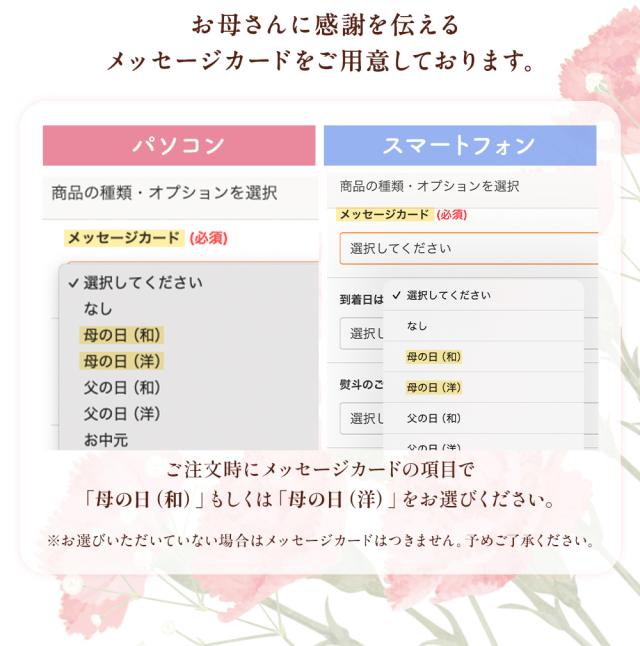 母の日 最短発送受付中 塩トマトゼリー 6個ギフト 4個セット 送料無料 かけてびっくり塩トマトゼリー ゼリー トマト スイーツ 贈り物 お菓子 メッセージカード 内祝い お祝い 贈物 2026 送料無料 ギフト プレゼント 実用的_2