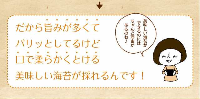 海苔 有明海産プレミアム焼き海苔 全形28枚 メール便送料無料 茶匠庵 一番摘み 焼のり 訳あり品 有明海苔 ご飯のお供 国産 葉酸  タウリンの通販はau PAY マーケット - 日本橋いなば園