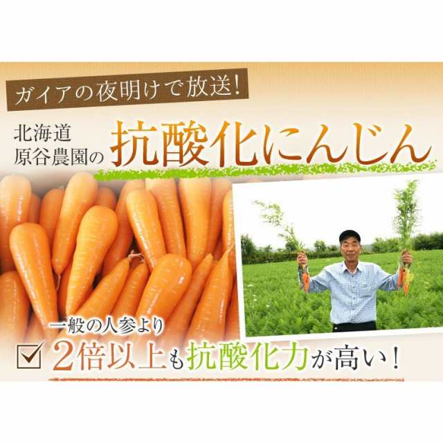 松茸つぼみ20本・1日昼採り】北海道産 506g国産 クール便 送料込み - 野菜