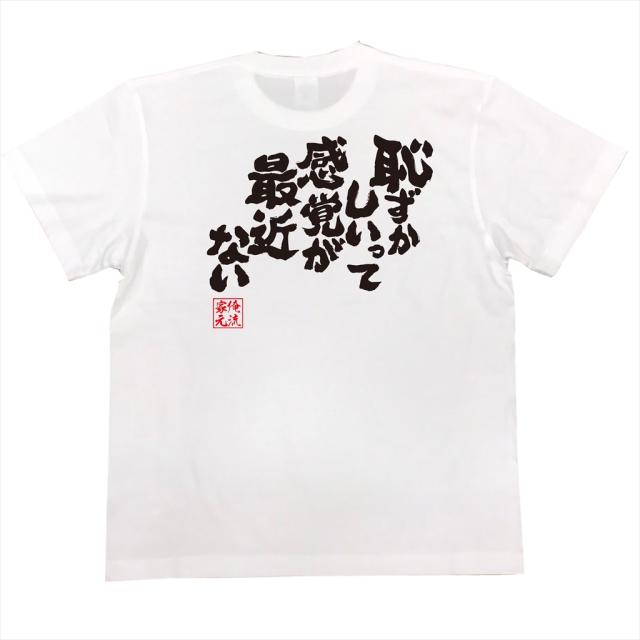俺流 魂心tシャツ 恥ずかしいって感覚が最近ない 漢字 面白いtシャツ プレゼント 面白 文字tシャツ おもしろ 景品 Tシャツ 外国人の通販はau Pay マーケット おもしろtシャツの俺流総本家