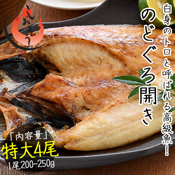 のどぐろ 干物 一夜干し 浜田 約0 250g 4尾 特大サイズ約24cm 島根県産 ノドグロの通販はau Pay マーケット 港ダイニングしおそう