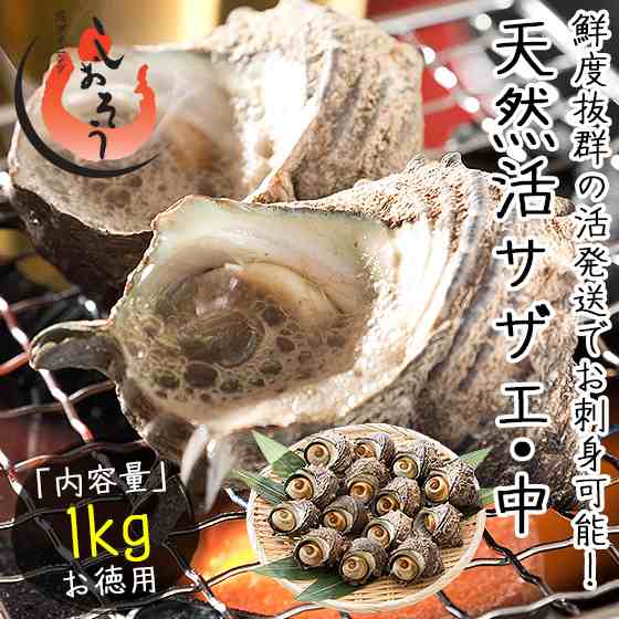 サザエ さざえ 中サイズ 1kg 天然 活 1粒70 80g 約13粒 福井県産 q 海鮮 バーベキュー 冷蔵商品以外と同梱不可 天候などで入荷の通販はau Pay マーケット 港ダイニングしおそう