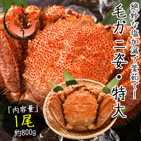 毛ガニ 800g前後×1尾 カニ かに 蟹 姿 毛蟹 毛がに ボイル蟹 食べ物 特大 大きい 冷凍 北海道 ボイルカニ 魚介 北海道産 海鮮 贈り物 美味しい kst23_d ギフト プレゼント お中元