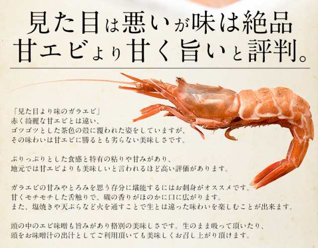 越前産 がらえび 500g 約35尾入り ガラエビ 刺身用の通販はau Pay マーケット 港ダイニングしおそう