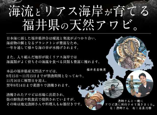 同梱不可】 アワビ 活 あわび 大サイズ 約300g（約300g×1枚） 天然 国産 福井県産 鮑 ［冷蔵商品以外とは同梱不可］の通販はau PAY  マーケット - 港ダイニングしおそう