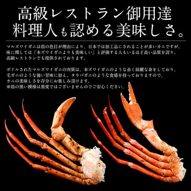 マルズワイガニ まるずわいがに 足 脚 3kg 約12 18肩入り マルズワイ まるずわいの通販はau Pay マーケット 港ダイニングしおそう