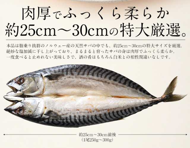 干物 さば サバ 鯖 特大サイズ 約250 300g 3尾 トロサバ とろさばの通販はau Pay マーケット 港ダイニングしおそう