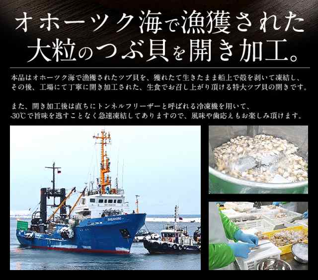 つぶ貝 ツブ貝 粒貝 つぶ貝開き 500g バイ貝 ばい貝 特大サイズ 刺身の通販はau PAY マーケット - 港ダイニングしおそう