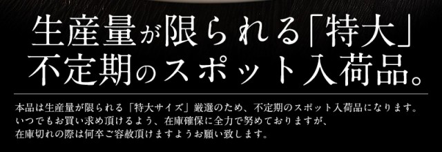 欠け　PAY　1kg　グルメ　港ダイニングしおそう　au　ホタテ　ホタテ貝柱　冬グルメ　サイズ不揃い）　マーケット　PAY　冬の通販はau　ほたて　グルメ　お歳暮　ほたて　帆立　貝柱　ほたて貝柱　訳あり（割れ　特大　マーケット－通販サイト