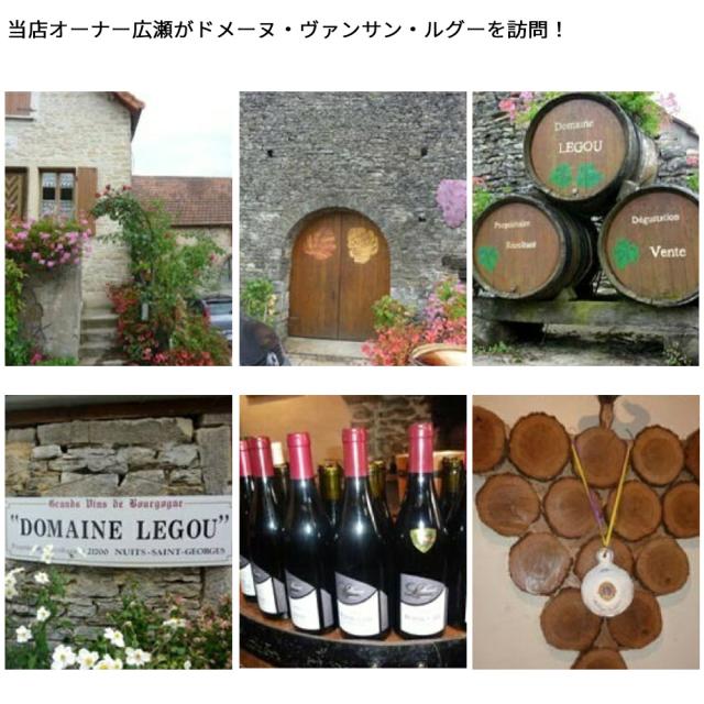 ボーヌ プルミエ クリュ 一級 アン ジュネ ルージュ 2022 蔵出し限定作品 ドメーヌ ヴァンサン ルグー元詰 自然派 ビオロジック