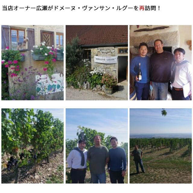 ボーヌ プルミエ クリュ 一級 アン ジュネ ルージュ 2022 蔵出し限定作品 ドメーヌ ヴァンサン ルグー元詰 自然派 ビオロジック