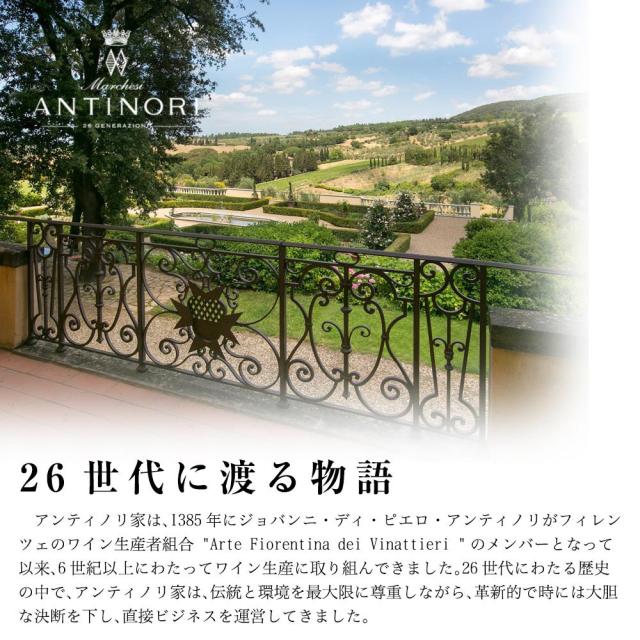 【豪華木箱入】ピティオ 2022 年 アラス デ ピルケ (イタリアの名門アンティノリ家) チリ マイポ ヴァレー 記念すべき初ヴィンテージワイン_6
